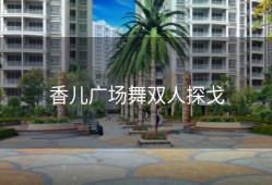 香儿广场舞双人探戈