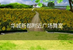 华城新都附近广场舞室