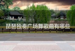 琵琶独奏广场舞歌曲有哪些