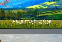 火凤凰广场舞健身操