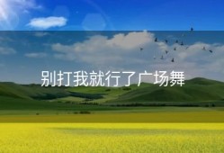 别打我就行了广场舞
