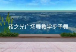 夜之光广场舞教学步子舞