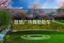 慧慧广场舞勒勒车