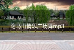 跑马山情思广场舞mp3