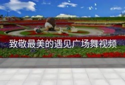 致敬最美的遇见广场舞视频