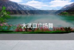 大武口广场舞
