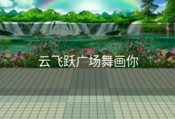 云飞跃广场舞画你