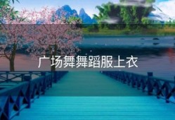 广场舞舞蹈服上衣