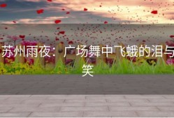 苏州雨夜：广场舞中飞蛾的泪与笑