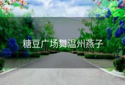 糖豆广场舞温州燕子