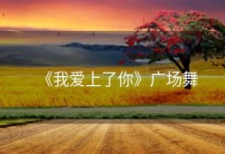 《我爱上了你》广场舞