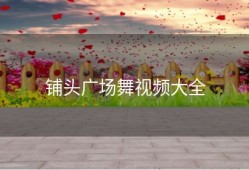 铺头广场舞视频大全