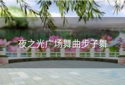 夜之光广场舞曲步子舞
