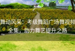 舞动风采：考级舞蹈广场舞视频全集，助力舞艺提升之路