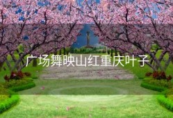 广场舞映山红重庆叶子