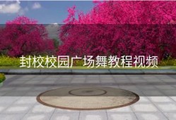 封校校园广场舞教程视频