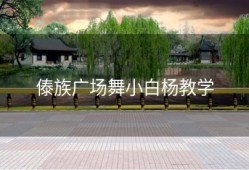 傣族广场舞小白杨教学