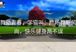 舞动青春，学猫叫：广场舞新风尚，快乐健身两不误