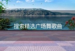 搜索精选广场舞歌曲