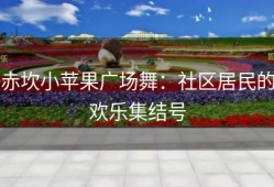 赤坎小苹果广场舞：社区居民的欢乐集结号