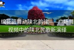 编花篮舞动陕北韵律——广场舞视频中的陕北民歌新演绎