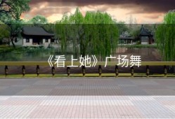 《看上她》广场舞