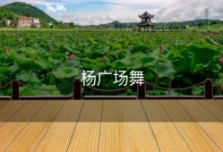 杨广场舞