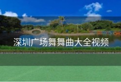 深圳广场舞舞曲大全视频