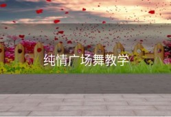 纯情广场舞教学