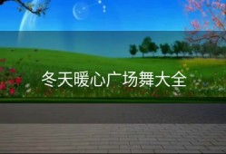 冬天暖心广场舞大全