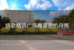 情歌精选广场舞草原的月亮