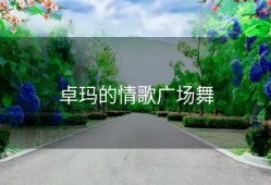 卓玛的情歌广场舞