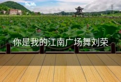 你是我的江南广场舞刘荣