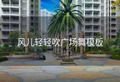 风儿轻轻吹广场舞模板