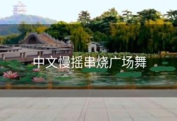 中文慢摇串烧广场舞