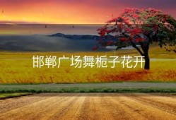 邯郸广场舞栀子花开