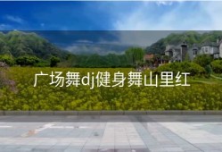 广场舞dj健身舞山里红