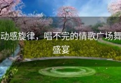 动感旋律，唱不完的情歌广场舞盛宴