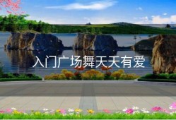 入门广场舞天天有爱