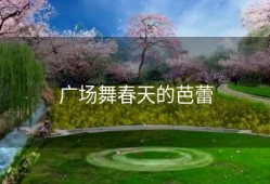 广场舞春天的芭蕾