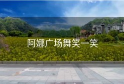 阿娜广场舞笑一笑