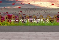 十三不踩广场舞视频