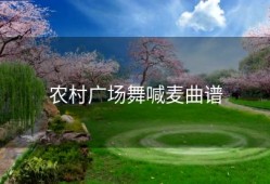 农村广场舞喊麦曲谱