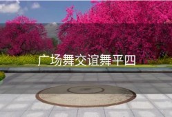 广场舞交谊舞平四