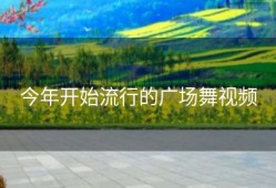 今年开始流行的广场舞视频