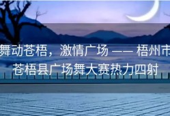 舞动苍梧，激情广场 —— 梧州市苍梧县广场舞大赛热力四射