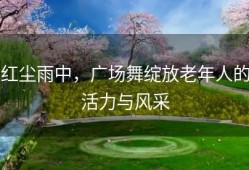 红尘雨中，广场舞绽放老年人的活力与风采