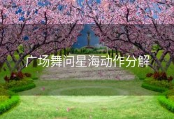 广场舞问星海动作分解