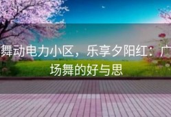 舞动电力小区，乐享夕阳红：广场舞的好与思