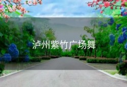 泸州紫竹广场舞